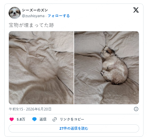 【内容提要】近日，一则萌宠动态在网络上引发热议。主人发布了一张爱犬“Zushi”