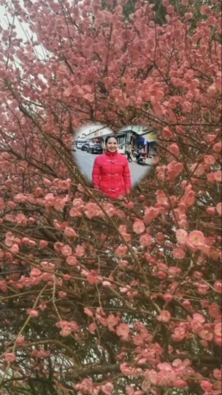 女神节快乐。
一朵芬芳的花美呀美如画，伴随春秋冬夏静静吐露着芳华。心上绽放的花羞