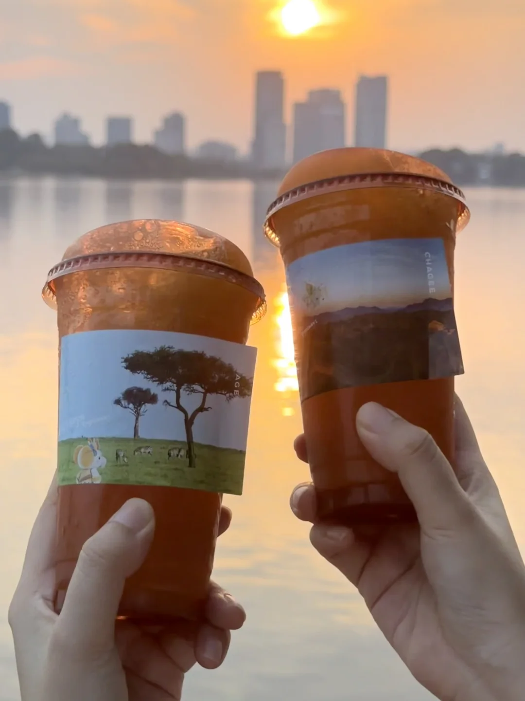 夏日、世界杯、茶特调摇摇沙