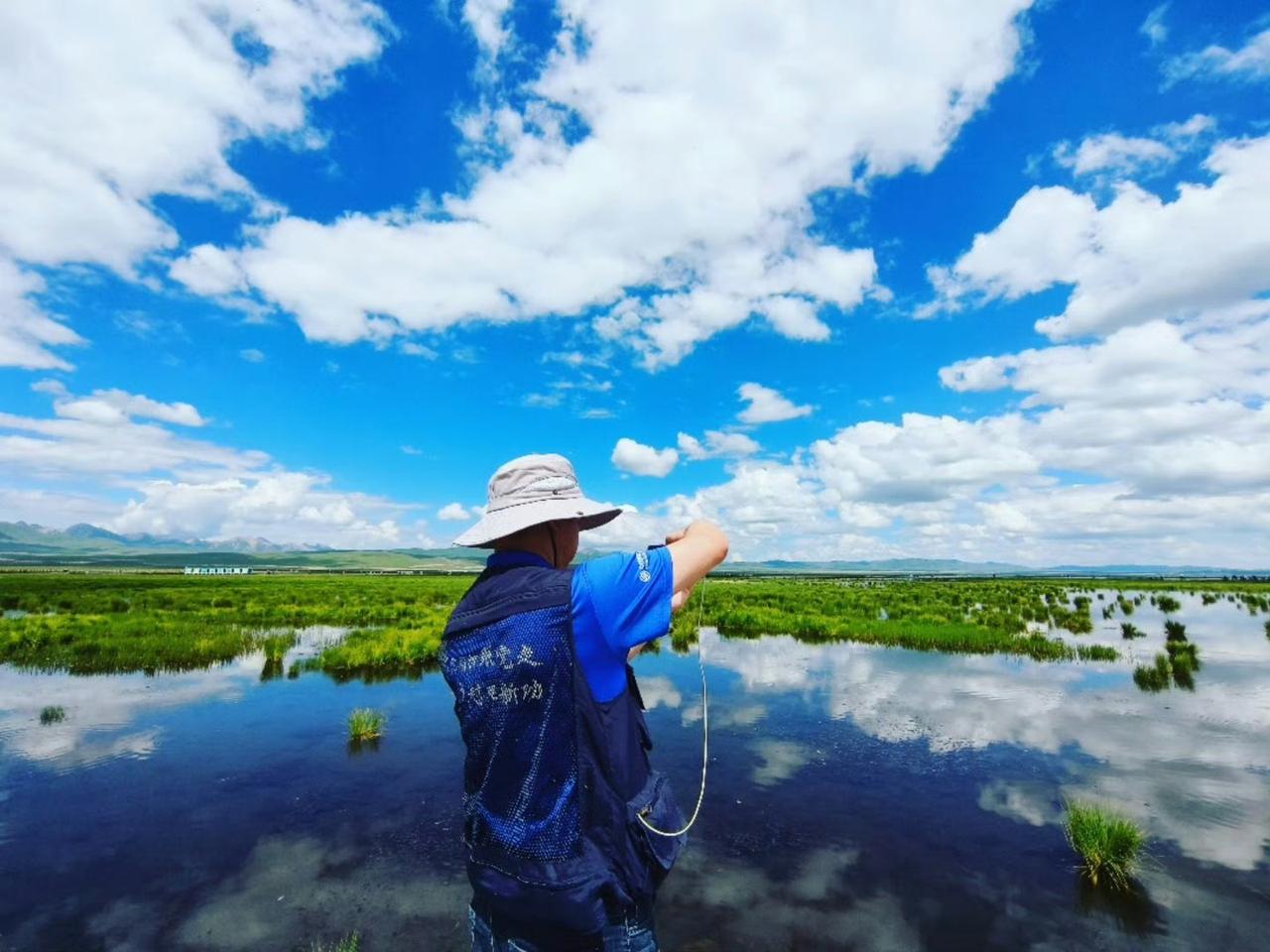 【若尔盖花湖｜避暑何必远方】 

真正的避暑胜地，不在遥远秘境，就在若尔盖花湖。