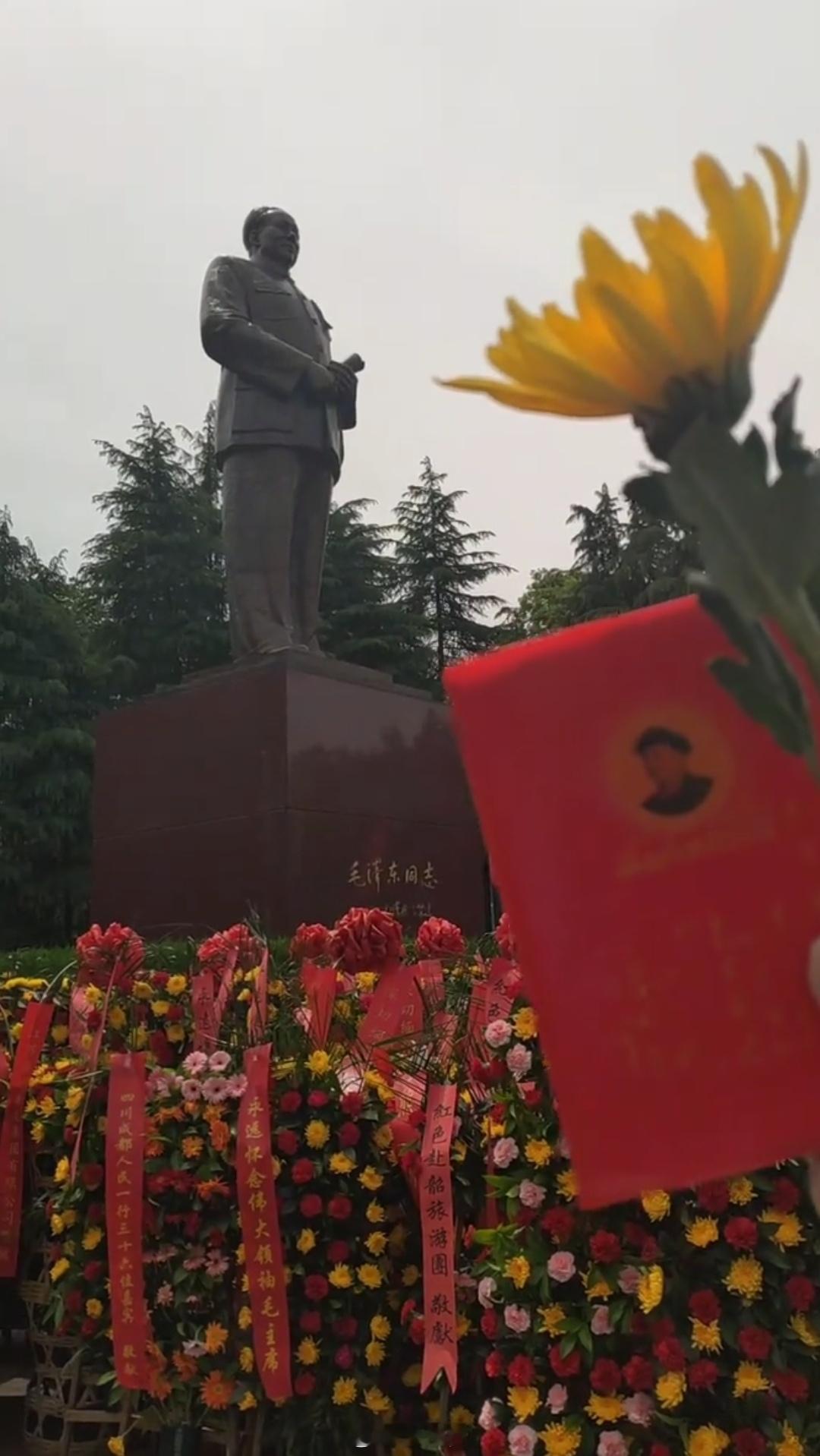刷到一个视频，定位在韶山教员雕像广场。看到雨中的那束花和那本书，我就知道，这一定