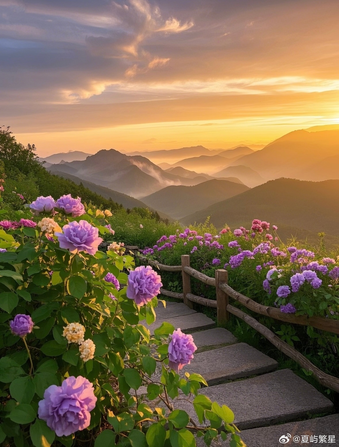 爱读书的人是幸福的微博年度待改编ip评选相聚时的一切悲欢，付出得真真诚诚，而分别