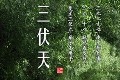 40天超长三伏天来了！牢记“六不要”，科学安稳过整夏
 
今年三伏天7月15日正