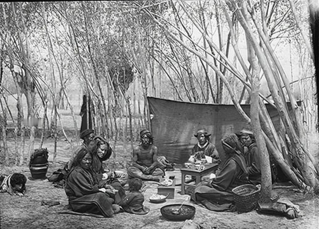 青稞是裸口感最差的粮食？上世纪70年代，西藏地区曾尝试推广小麦种植，很多牧民第一