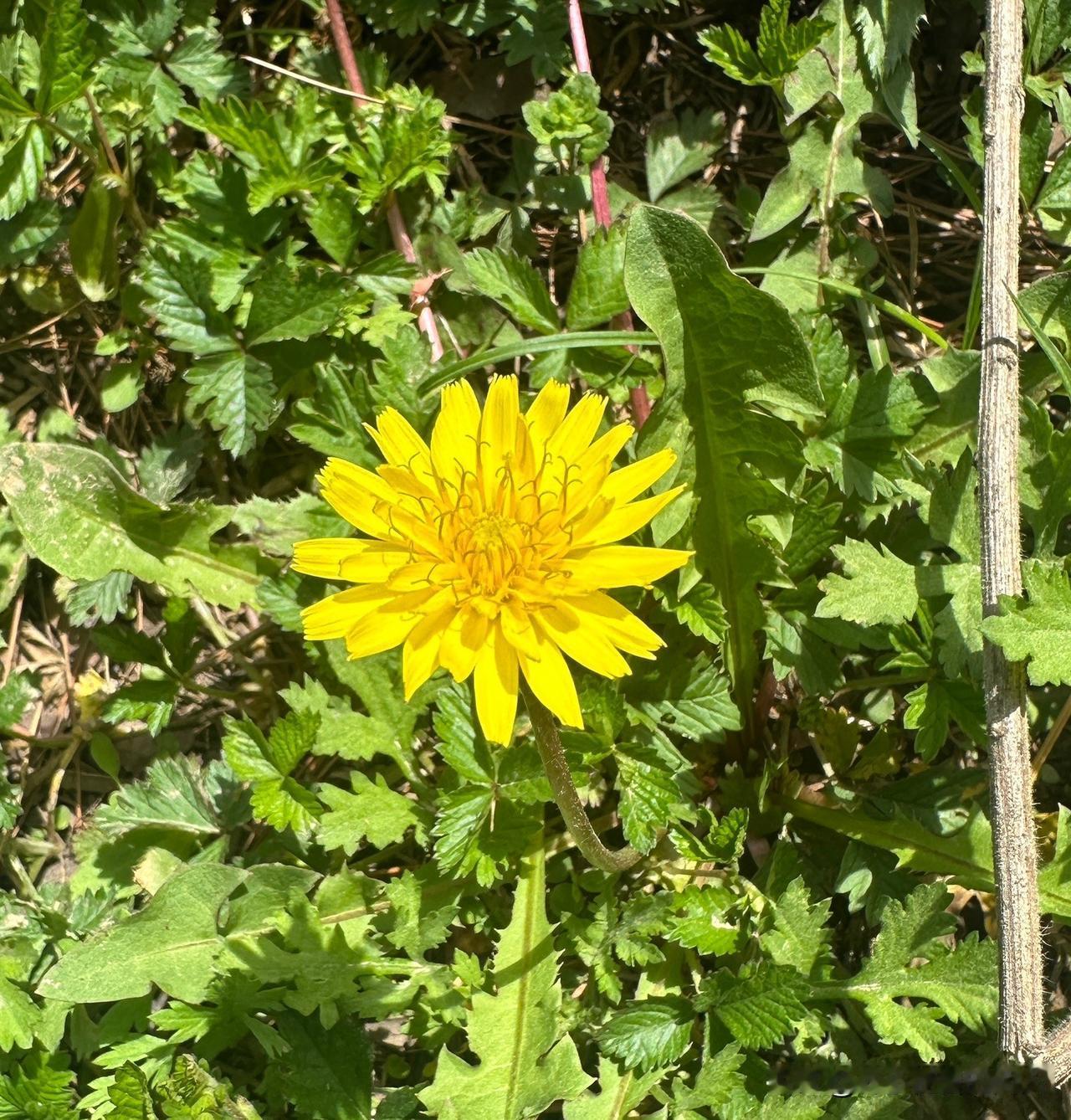 逾期这几年，我便发现了一个定律：你觉得自己值钱，好运才会来找你，坏事才会绕着你走