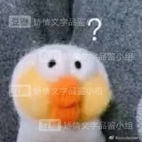 婕彤捧汽车