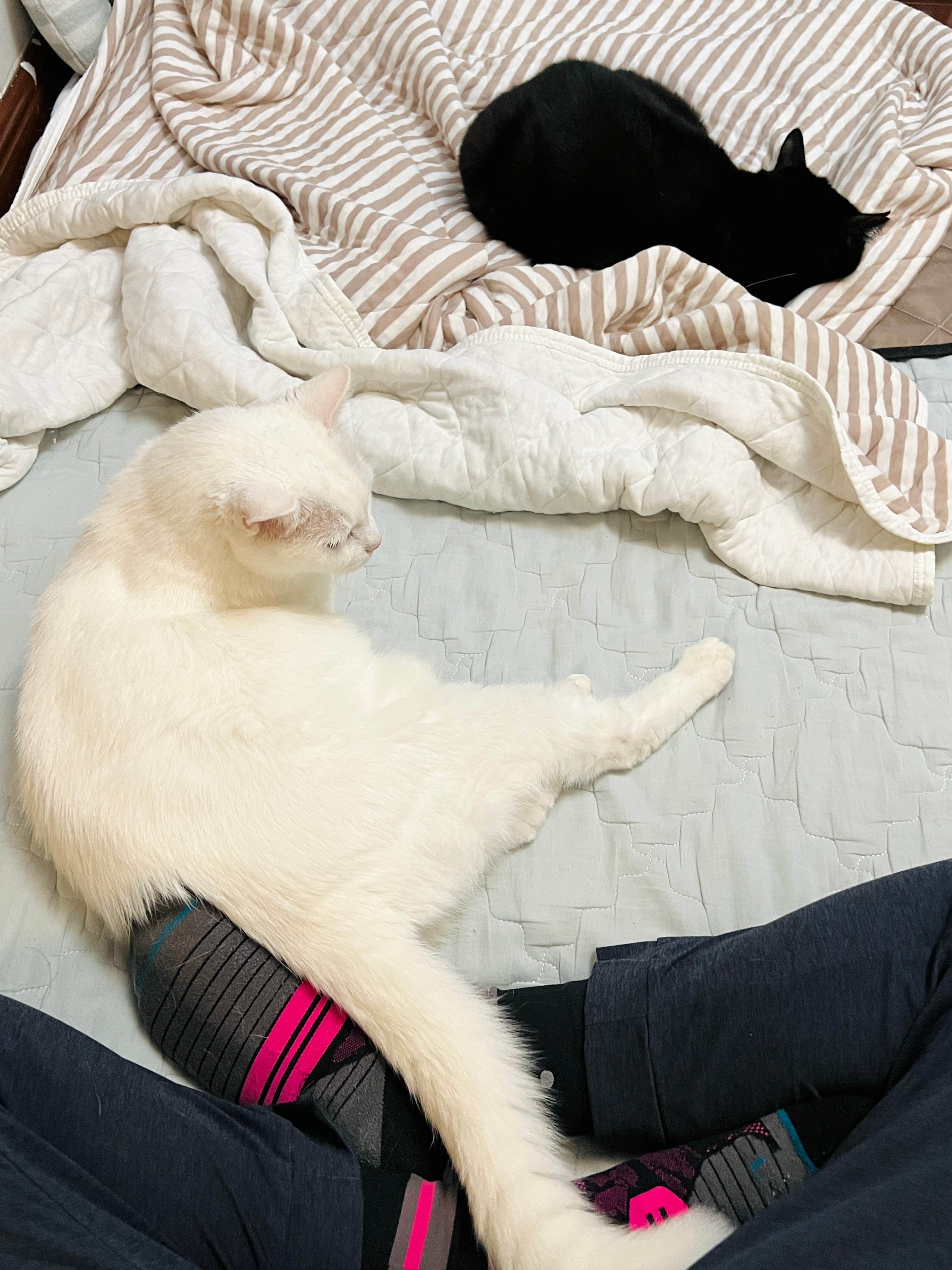 嘻嘻😁 ​​​