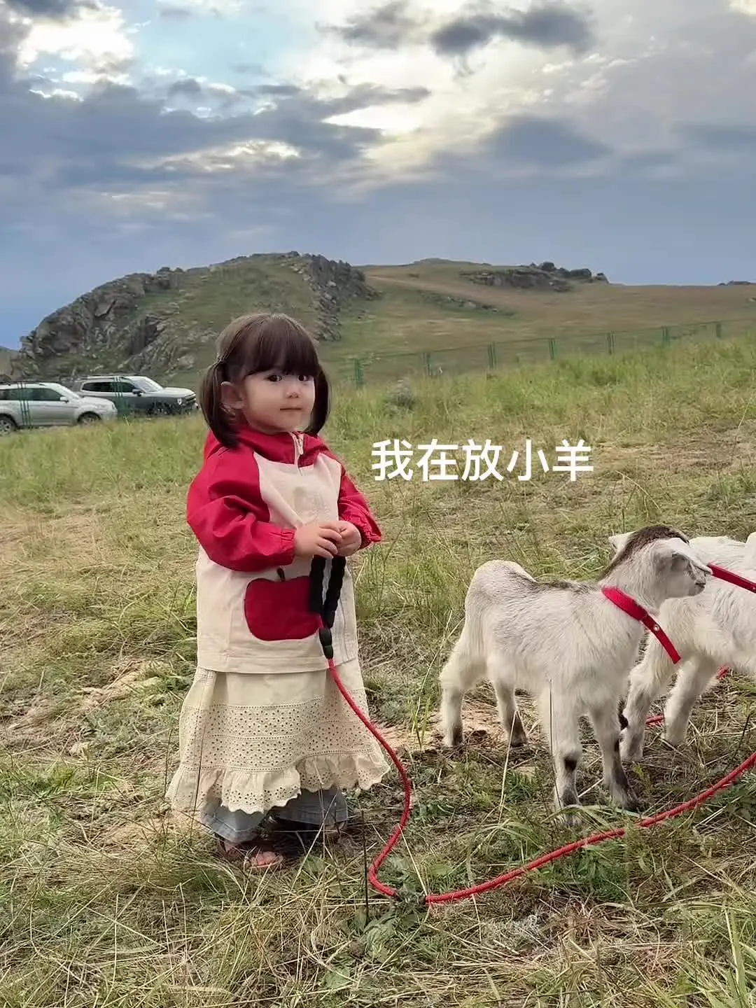 算了 和你们没女儿的说不清楚