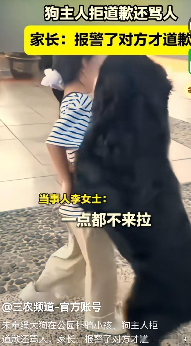 近日，玉溪某地的公园里出现了，一只未牵狗绳的大狗扑骑，一个散步的小女孩……

狗