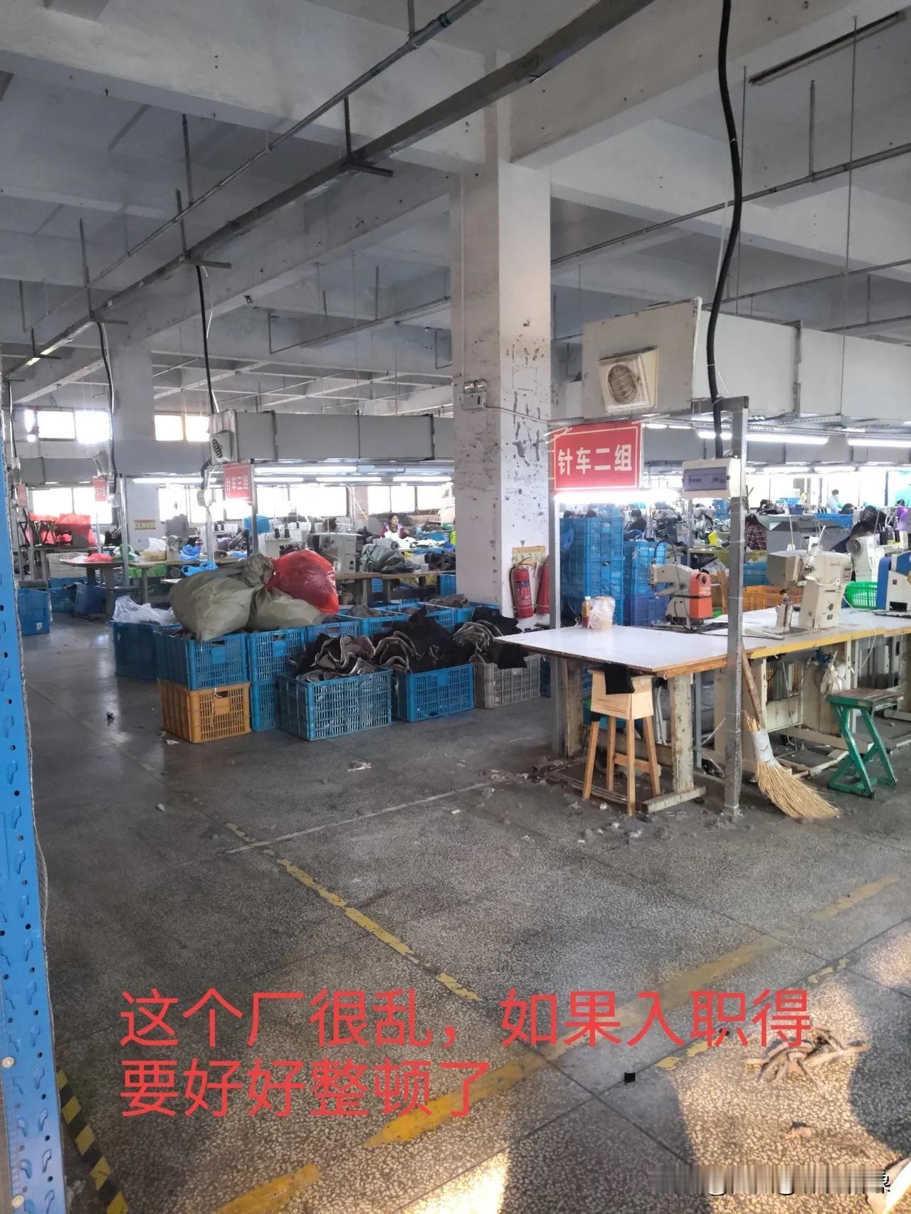 我们都知道，咱们国家是一个人口大国，庞大的人口基数使得劳动力数量众多。在经济发展