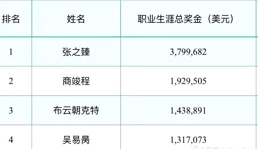 中国男网球员职业生涯总奖金前五：
张之臻：3799682美元
商竣程：19295
