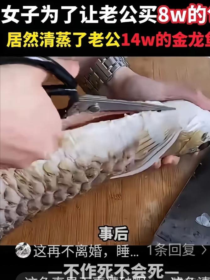 太离谱了，一名女子就因为老公不给她买一个8万块钱的包包，她竟然把老公养的一条价值