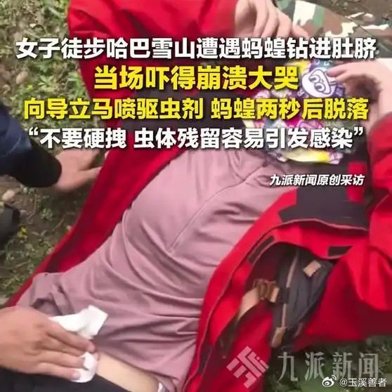 《女子徒步遭蚂蝗钻肚脐崩溃大哭 ：向导立马喷驱虫剂，蚂蝗两秒后脱落。》女子徒步遭