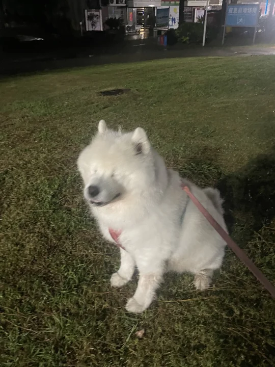 风把宝的眼睛吹小小