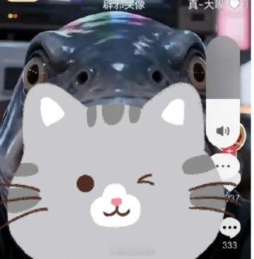 不是，这玩意儿还是个人啊？ 冒个泡