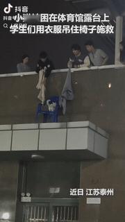 上人民日报了！江苏校园暖心一幕太好哭，小猫被困体育馆高空露台进退两难，一群学生突