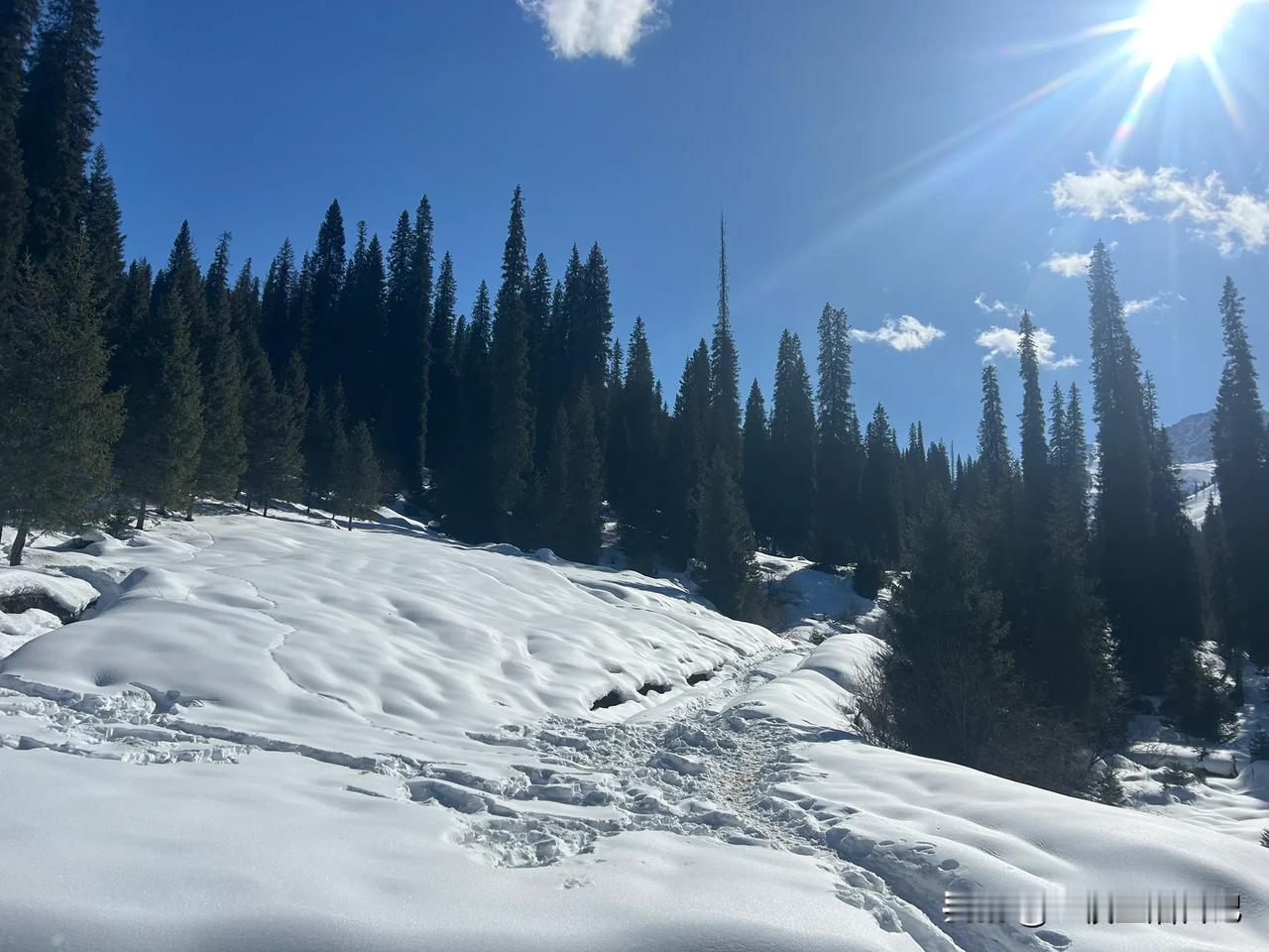 晒一下你相册里的雪景照片吧