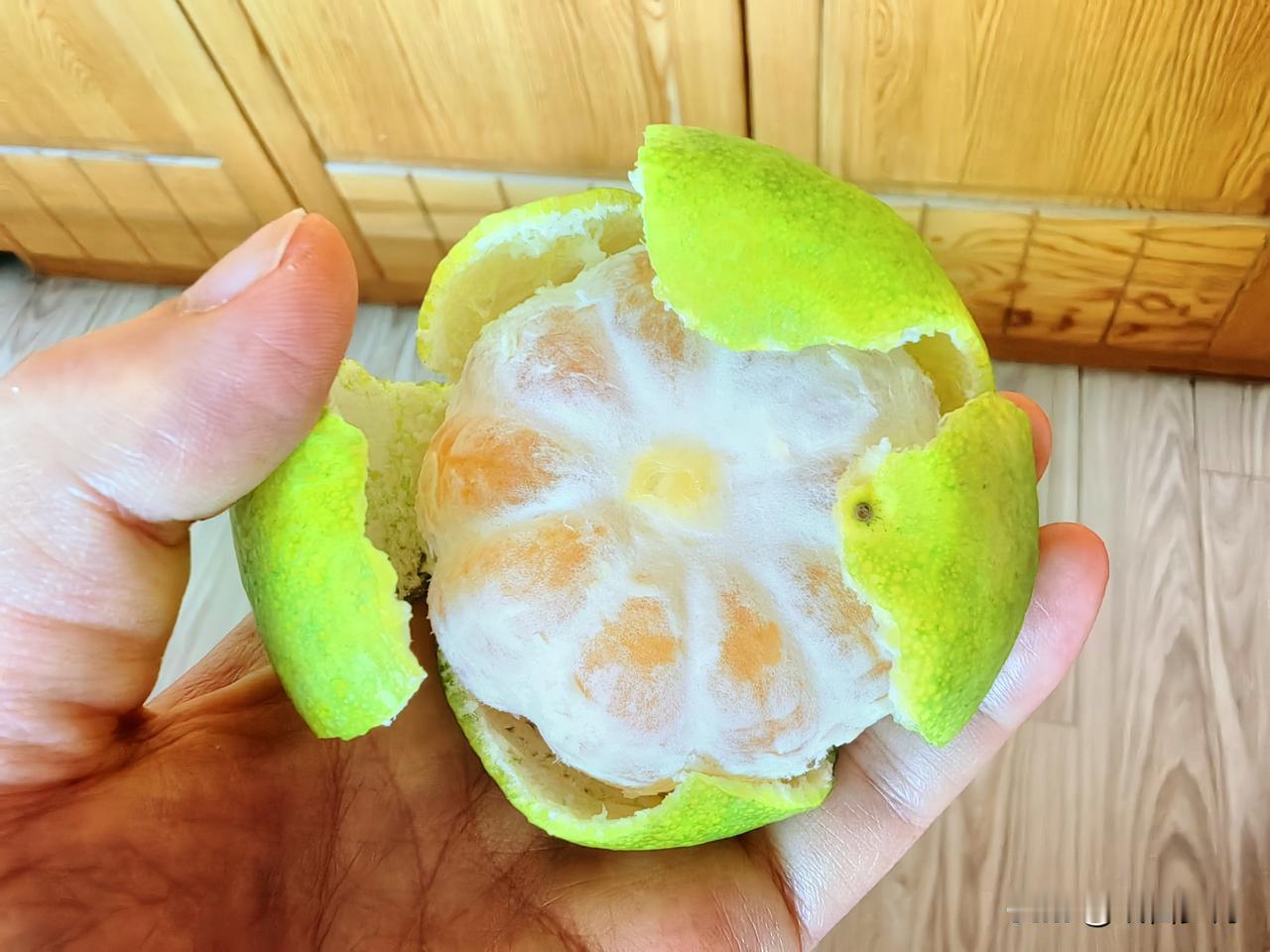 老天爷紧急撤回了一个秋天，夏天又卷土重来了，我又被热得汗流浃背。天上的月亮朦朦胧
