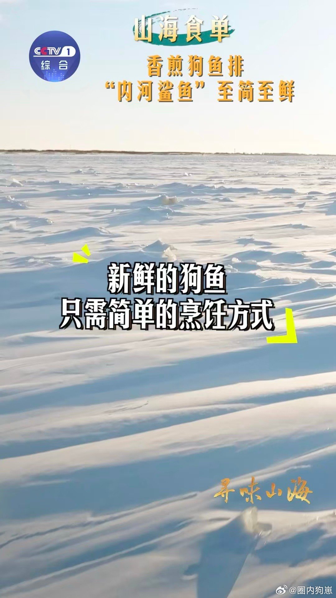 狗鱼是什么鱼狗鱼排把人香迷糊了 黑斑狗鱼号称“内河鲨鱼”，肉质紧实弹爽，简单盐和