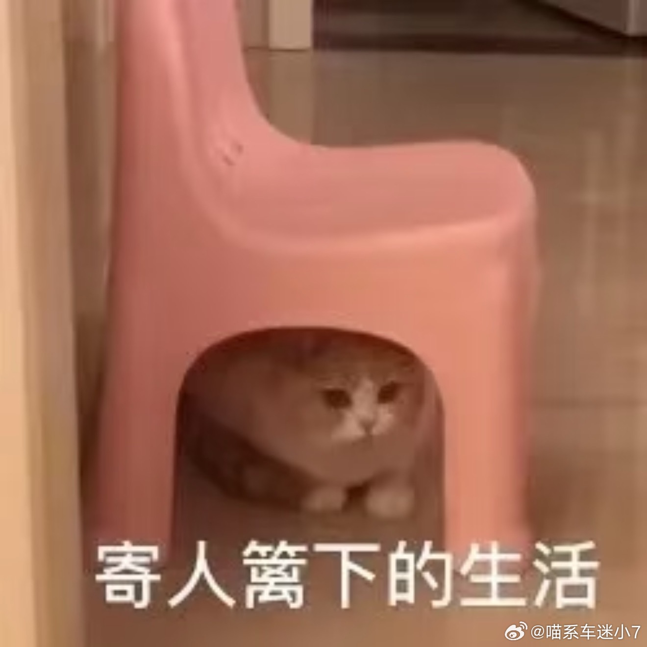 当你想体验寄人篱下的感觉时真不用特意去别人家，去你爸妈家住半个月就懂了。我过年回