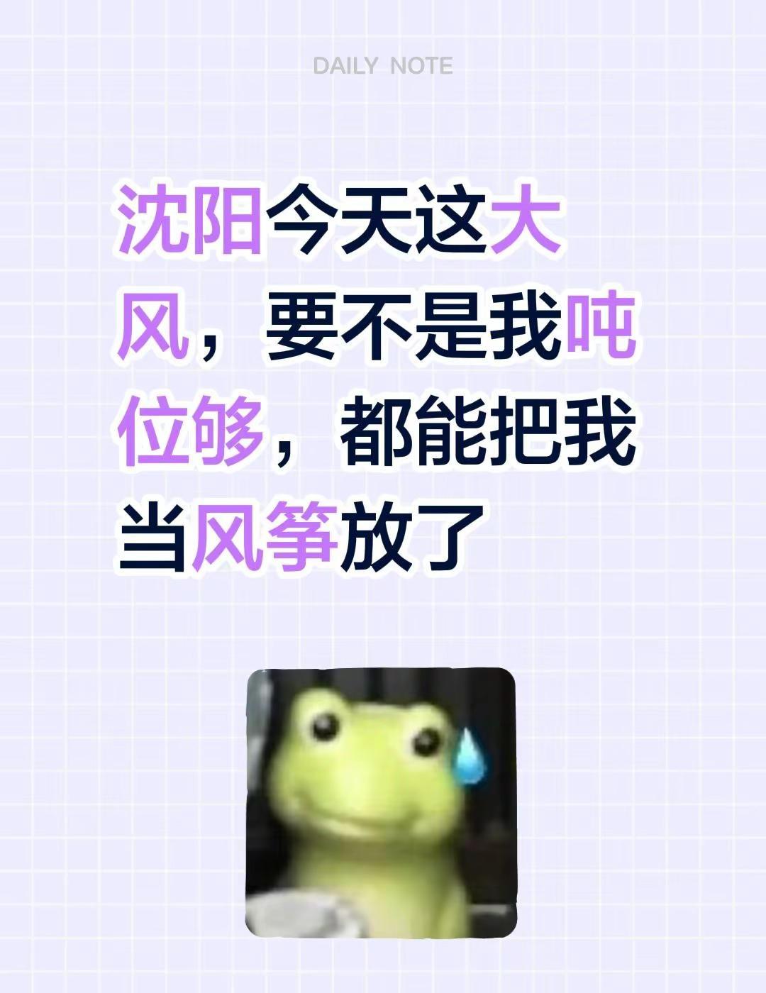 沈阳今天这大风，要不是我吨位够，都能把我当风筝放了沈阳沈阳大沈阳 沈阳的天气 沈
