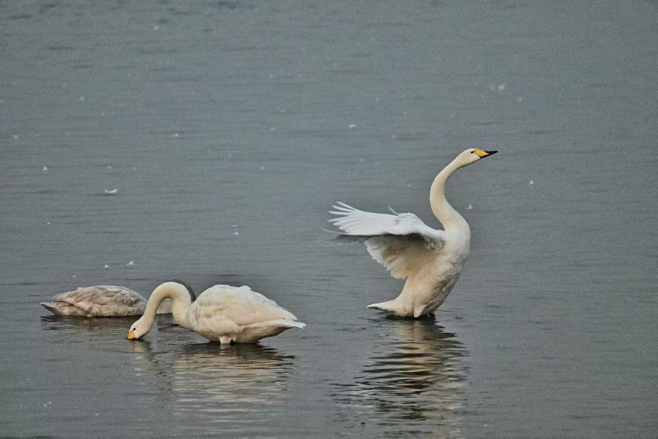 职称高的一定水平高吗?这个真不一定。职称与水平绝对不能划等号。

    职称的