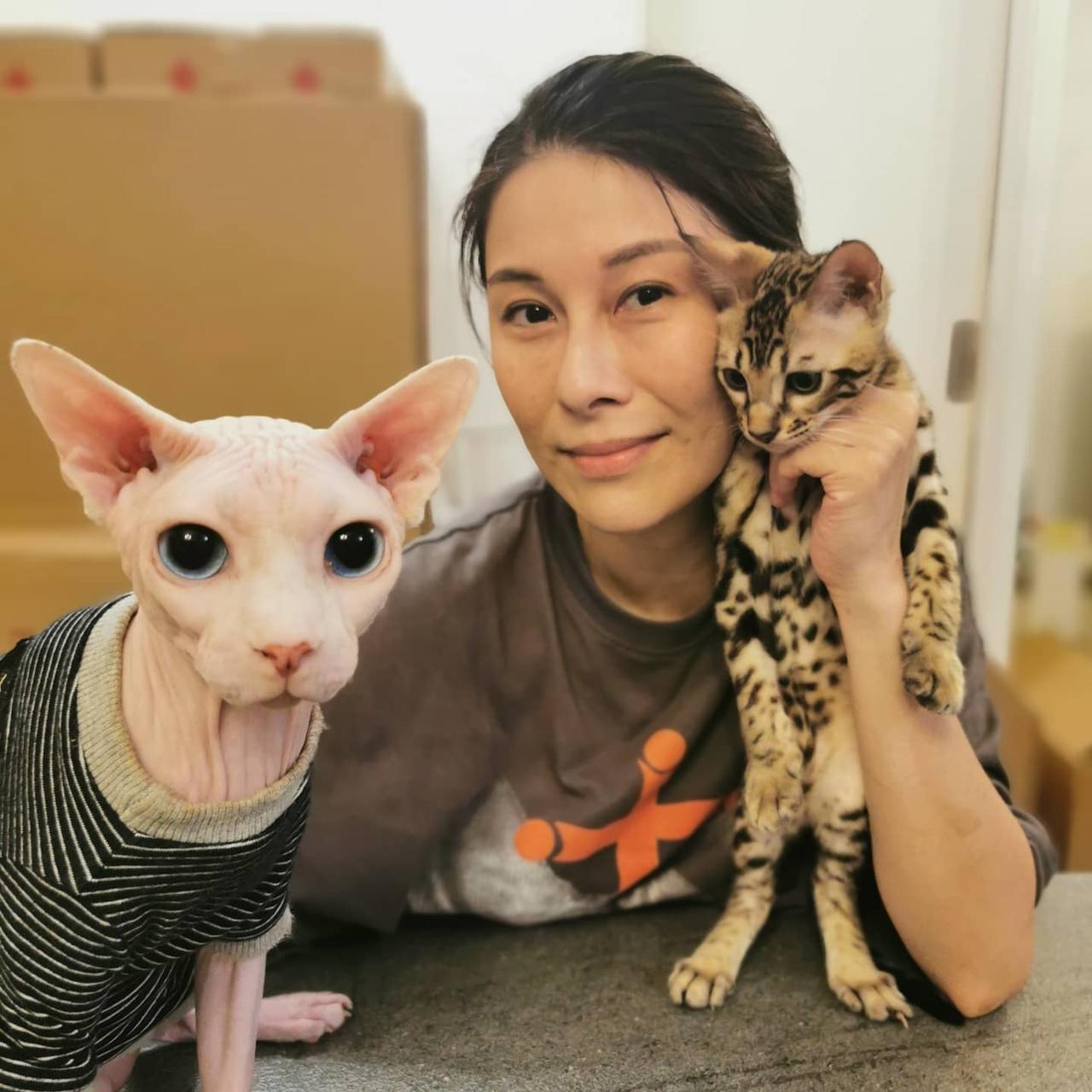 香港著名演员黎淑贤12月26日下午在家中烧炭自杀，家人发现后报案，惟送院抢救后返