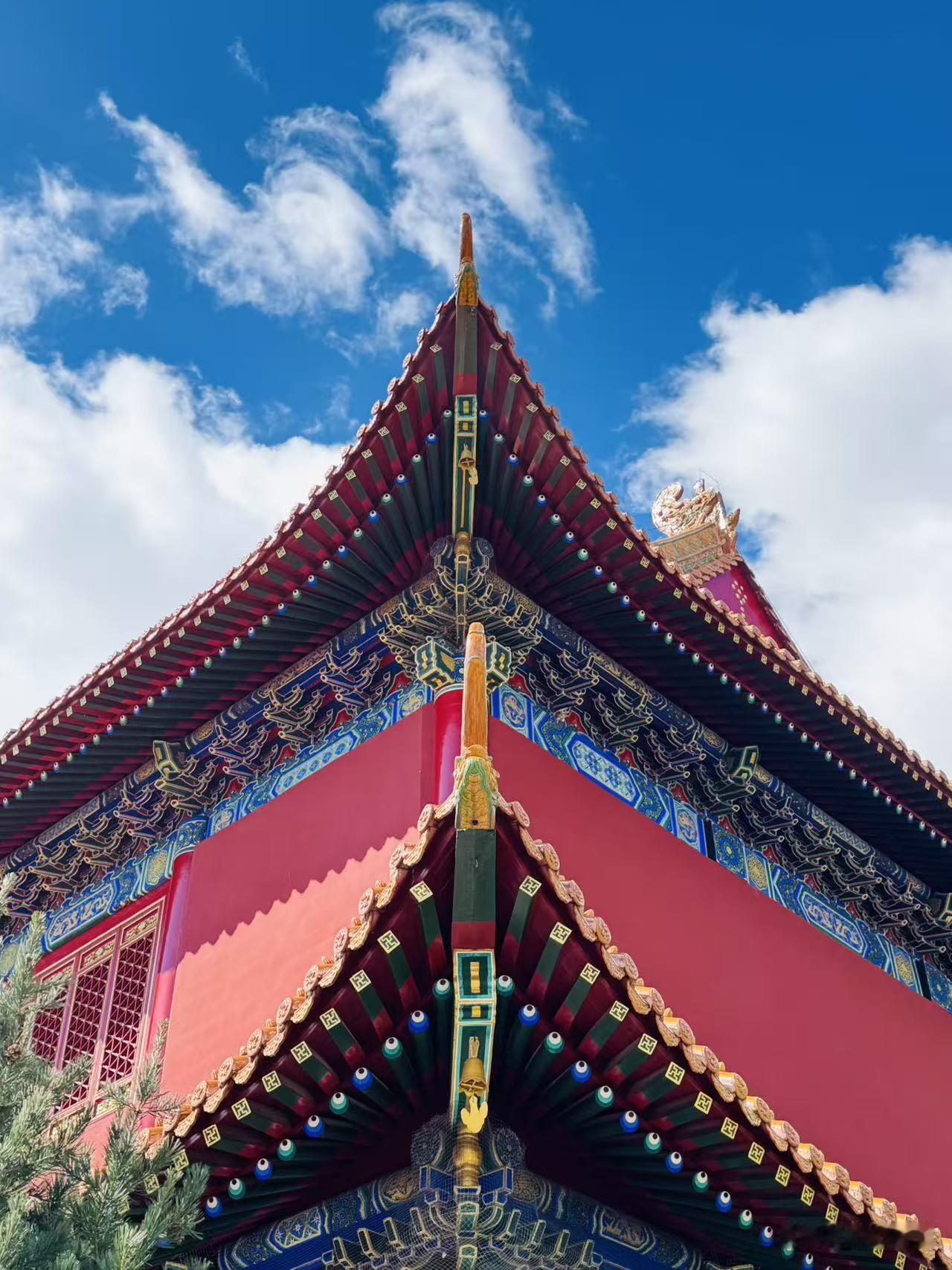 姐姐说：羡慕我一个人吃饱，全家不饿。
不知道何时，我离异单身的身份，
竟然成了别