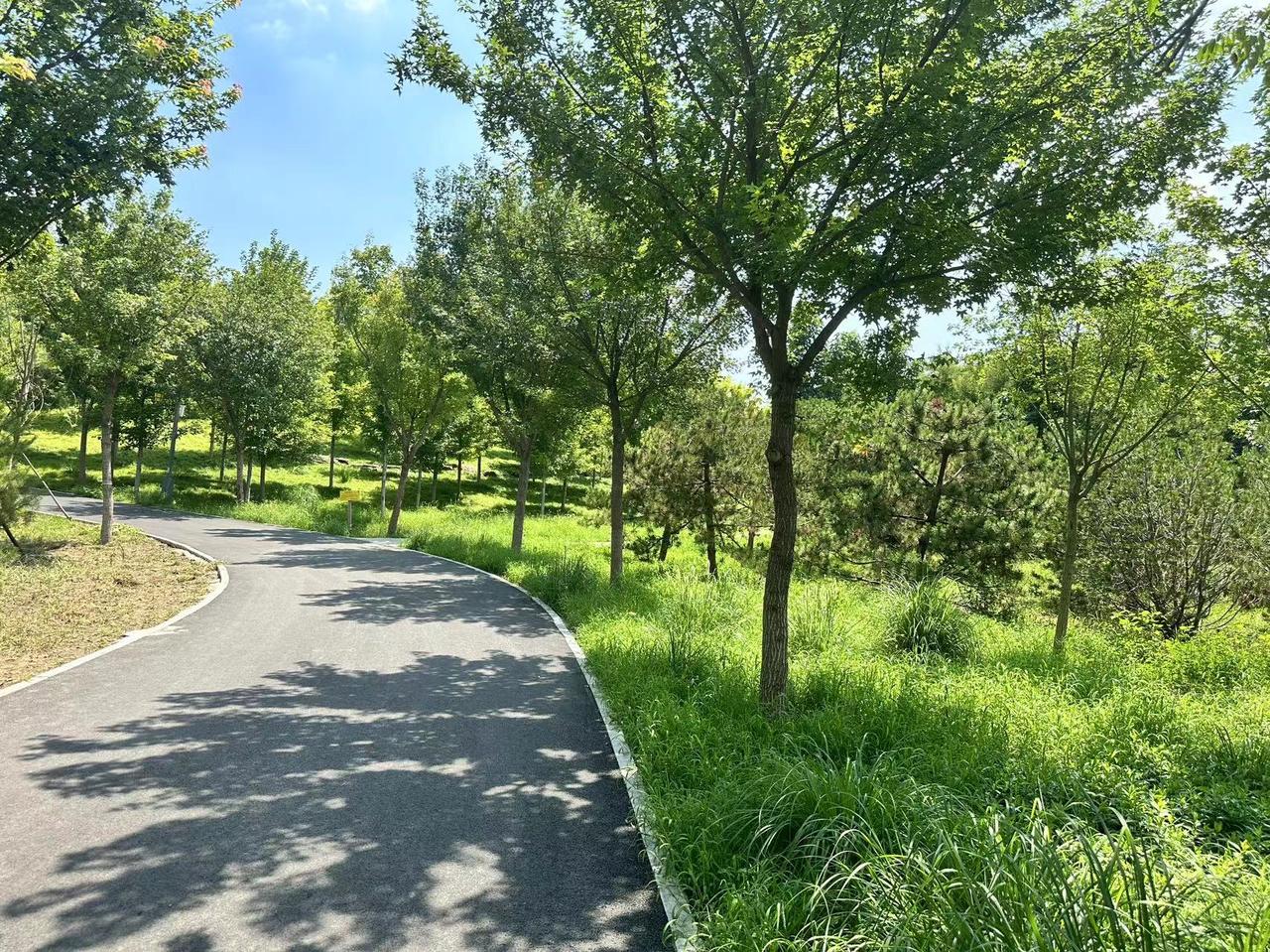 中国民国租界建筑最多的一些城市街区，
您能想起哪里？
1.上海外滩后面的十里洋场