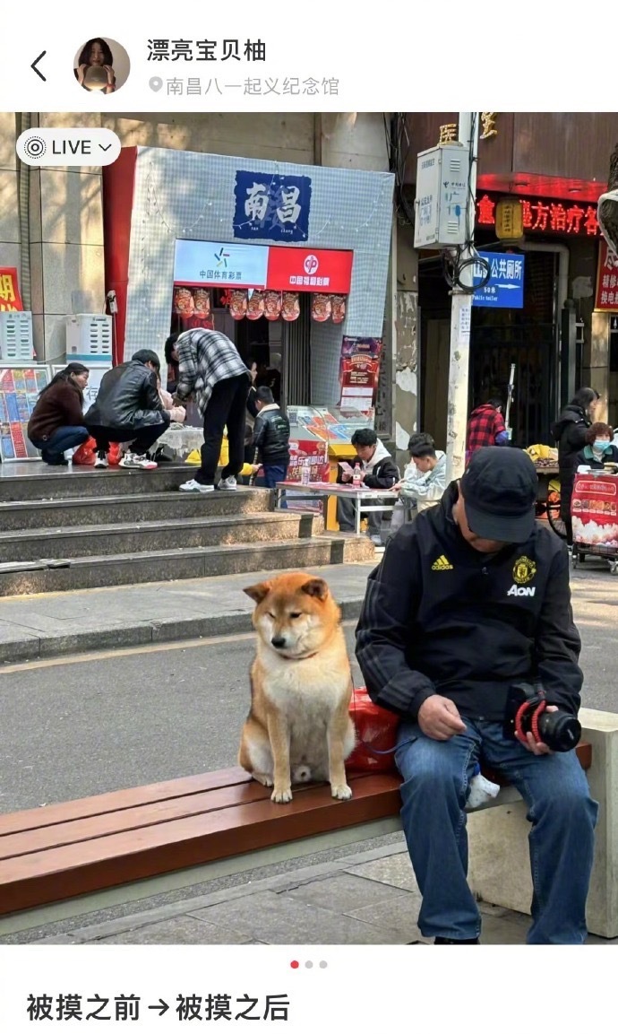 情绪外露的小狗 ​​​