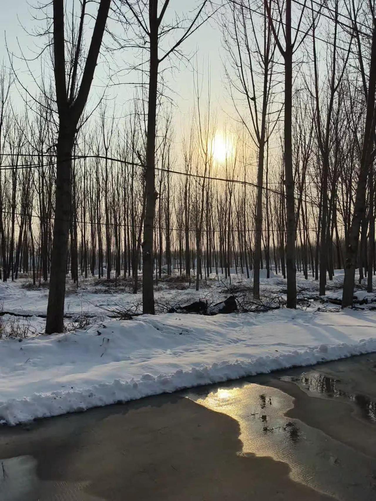 我想   我已经不在需要你了vlog 日常