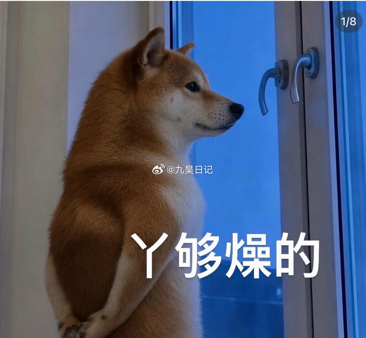 屁股上长了个痘痘，让他给我看了看，他说他要帮我挤了。。我摆手：“这有点不好吧，感