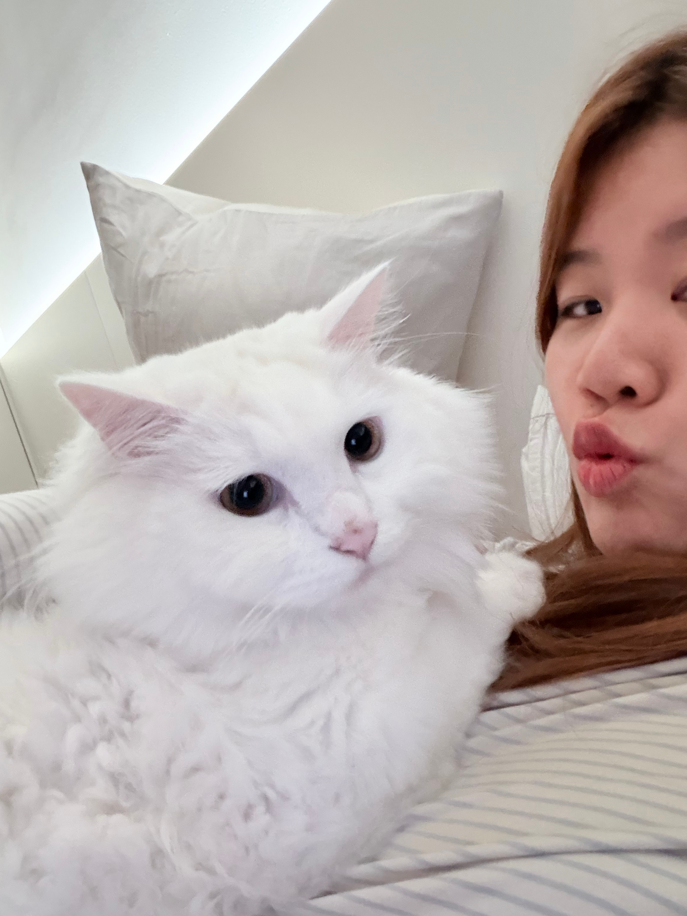 老师我家孩子能当童模吗？ 