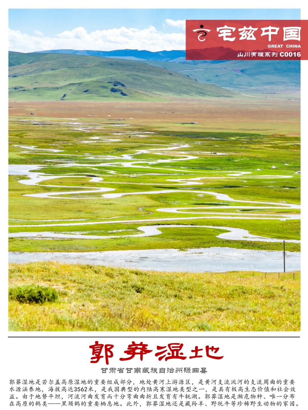 C0016郭莽湿地，黑颈鹤栖息的高原高寒湿地