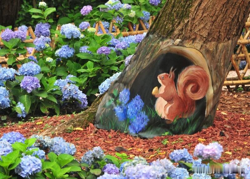 周末，我会背上背包去徒步，在山顶看云海翻涌，在溪边听流水潺潺。工作不再是生存的枷