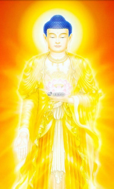 阿弥陀佛四十八大愿，愿愿慈悲广大。有缘之人，业消障除，福慧双增。好运护体