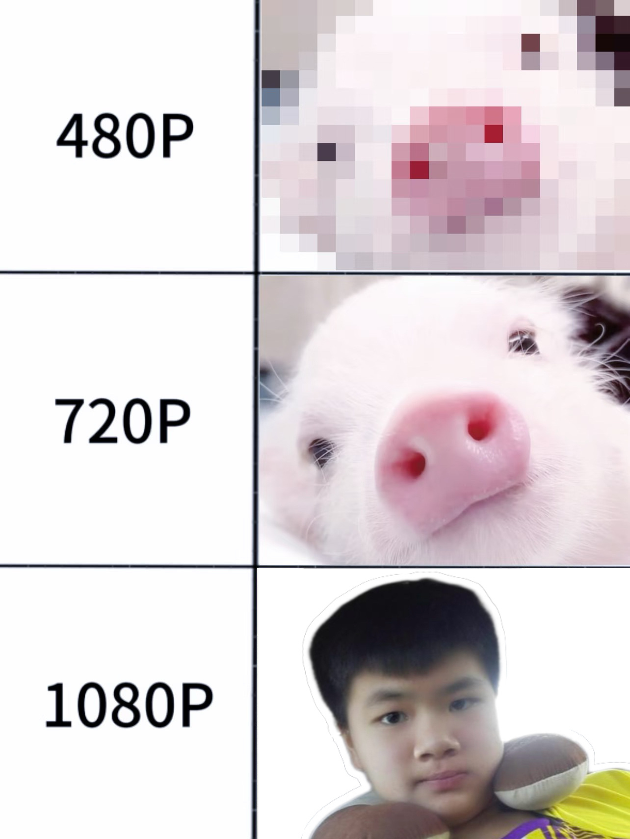 审铿积累 🐽能量已摄入 