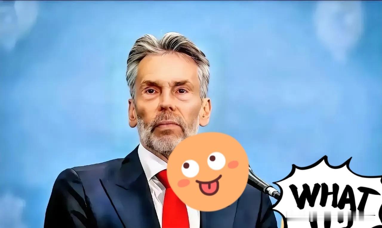 快报！快报！
 
荷兰政府正式宣布
2025年11月6日，荷兰政府正式官宣半导体