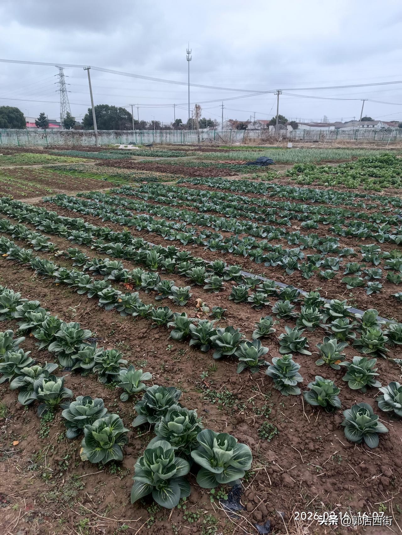 公墓价格下降对民众有多重要生老病死是每个人所必须面对的，公墓价格的问题，也是每个