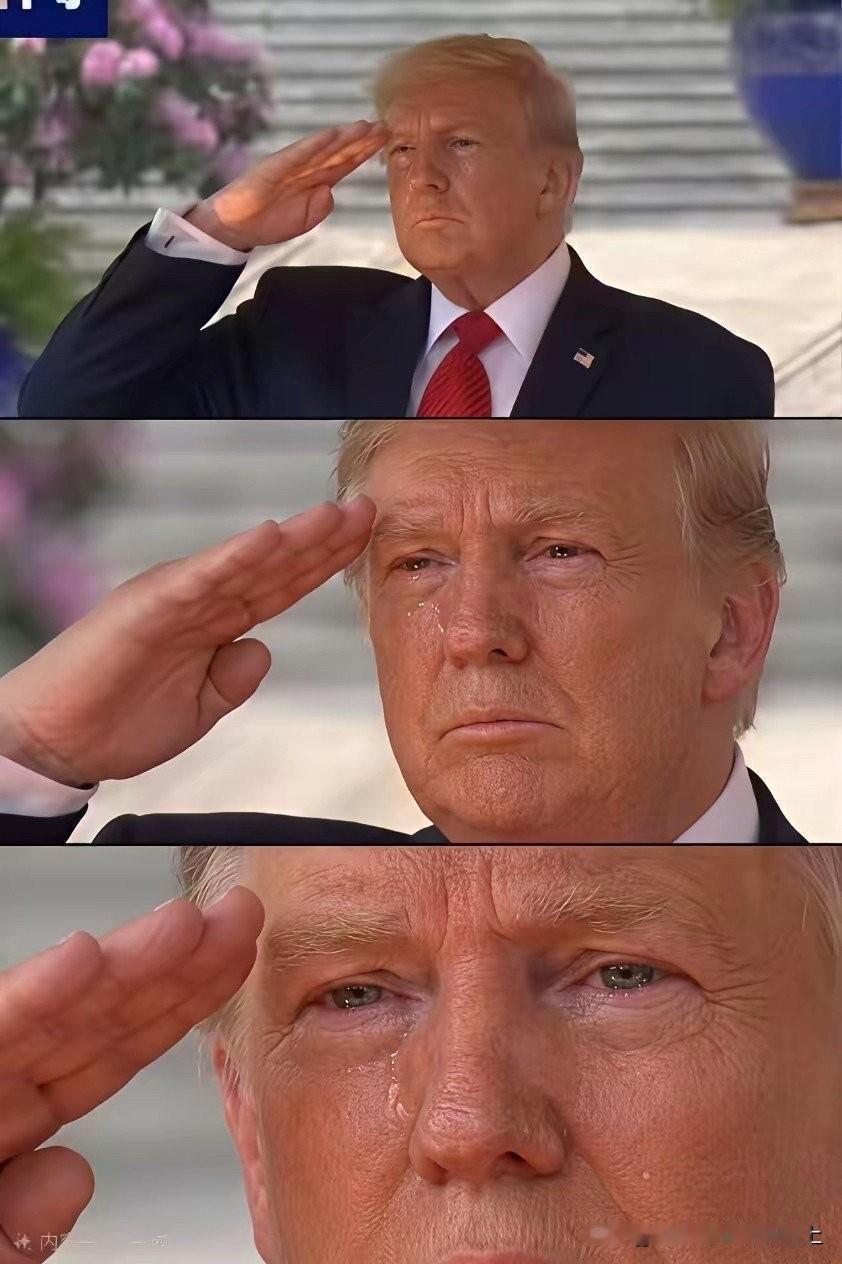 鹰酱🇺🇸到我们家里来了以后，性格都不一样了，懂礼貌了，不唱歌也不跳舞了，不乱
