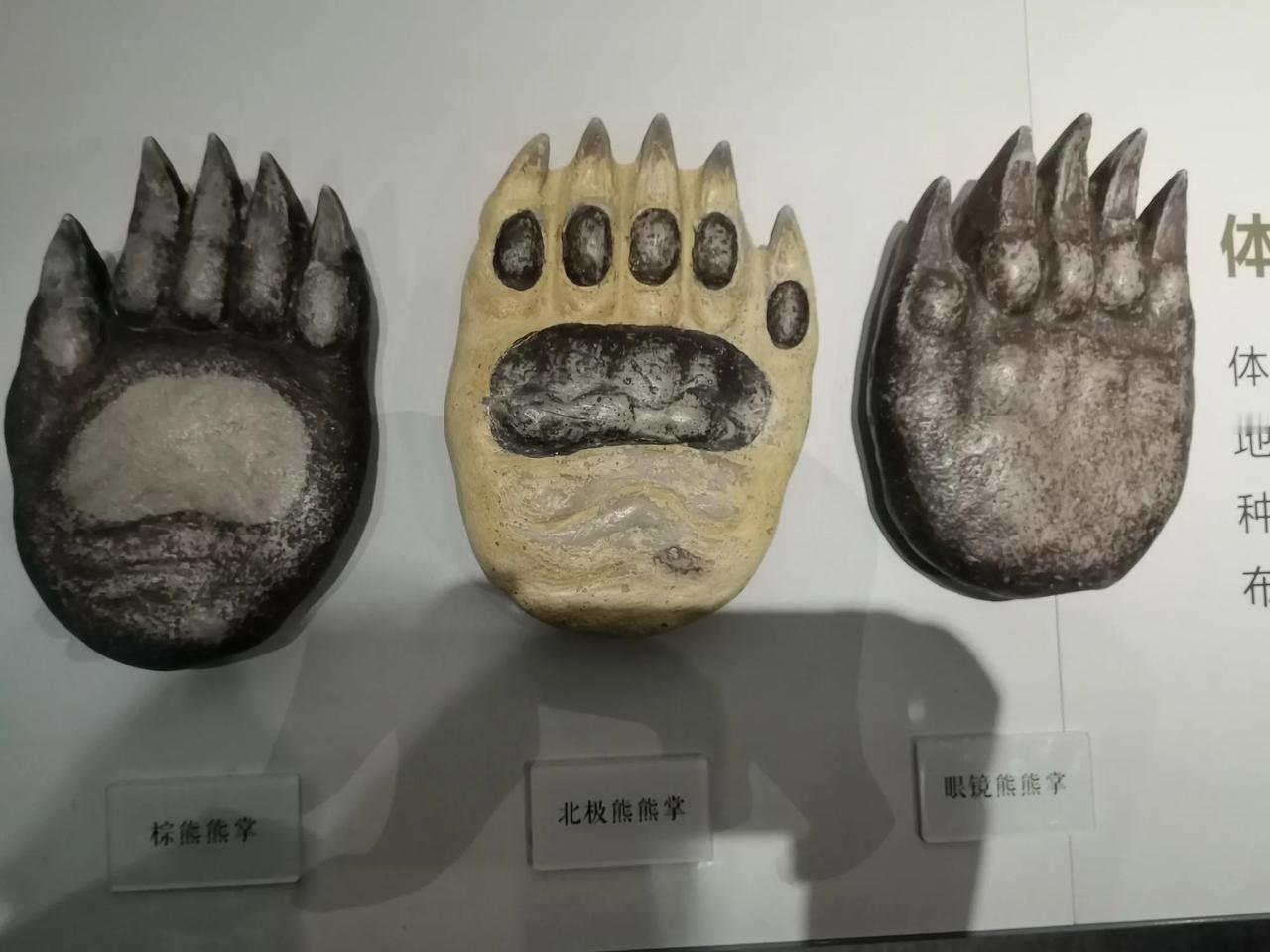 [爱慕]