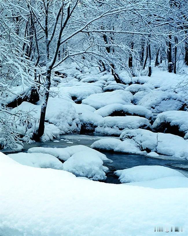 诗歌丨雪

雪下的真大
想把世界淹埋

让世界恢复如初
满目圣洁

雪
把世界变