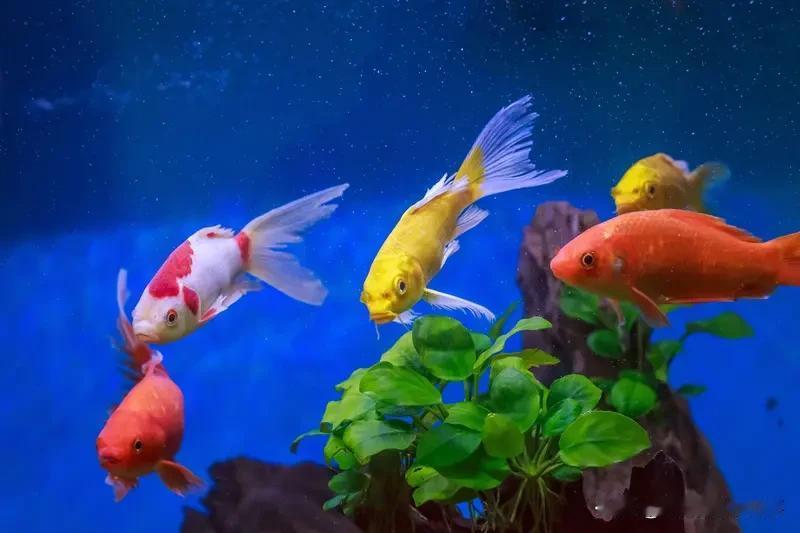 每天都是还得写点什么，虽然阅读量很可怜，但也得写。