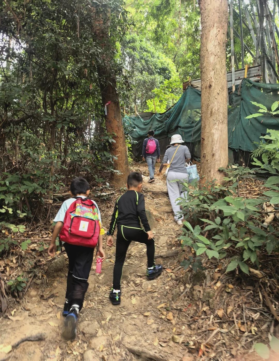 广州地铁直达，超适合新手小白的徒步路线
刚刚接触户外徒步👣或者想尝试的新手 小