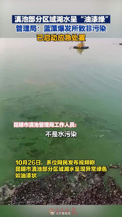 #水已油漆绿还不算污染如此嘴硬为哪般#【晚报来论 | #水已油漆绿官方称不算污染