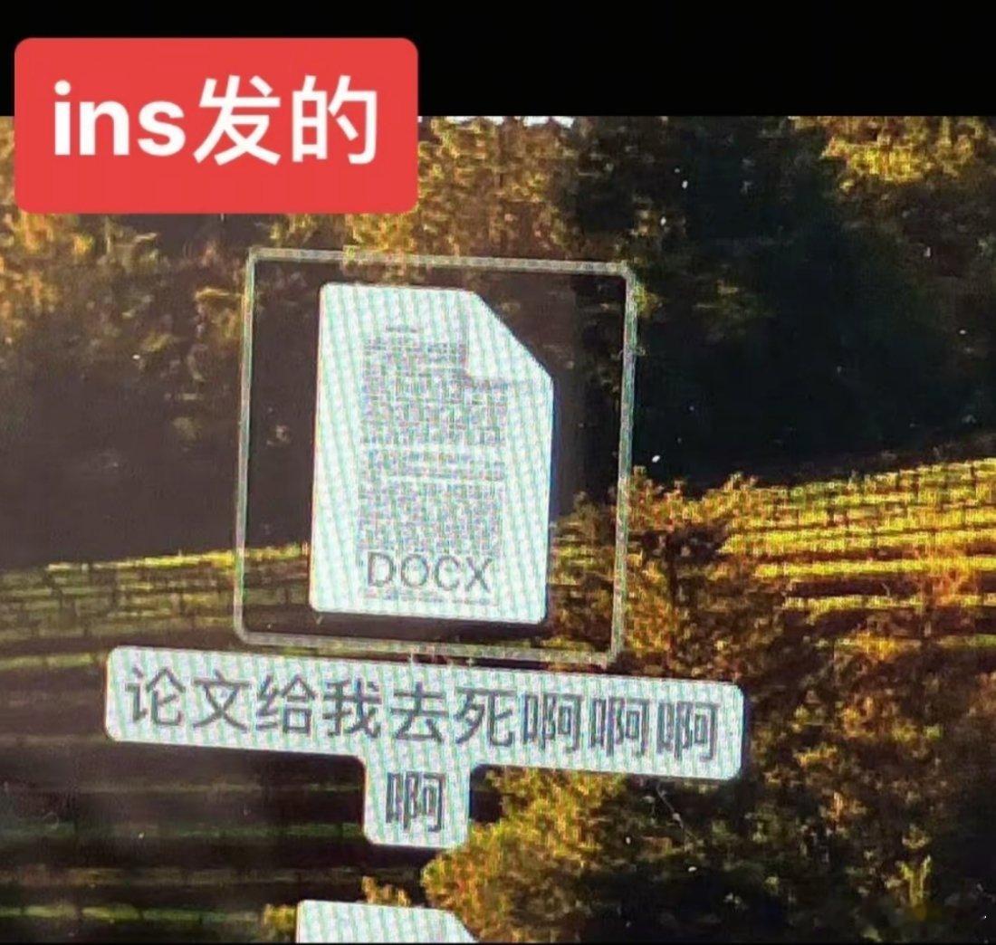 文淇 论文给我去死 笑死我这就是当代年轻人同意的精神状态，我也是不同平台发不同的