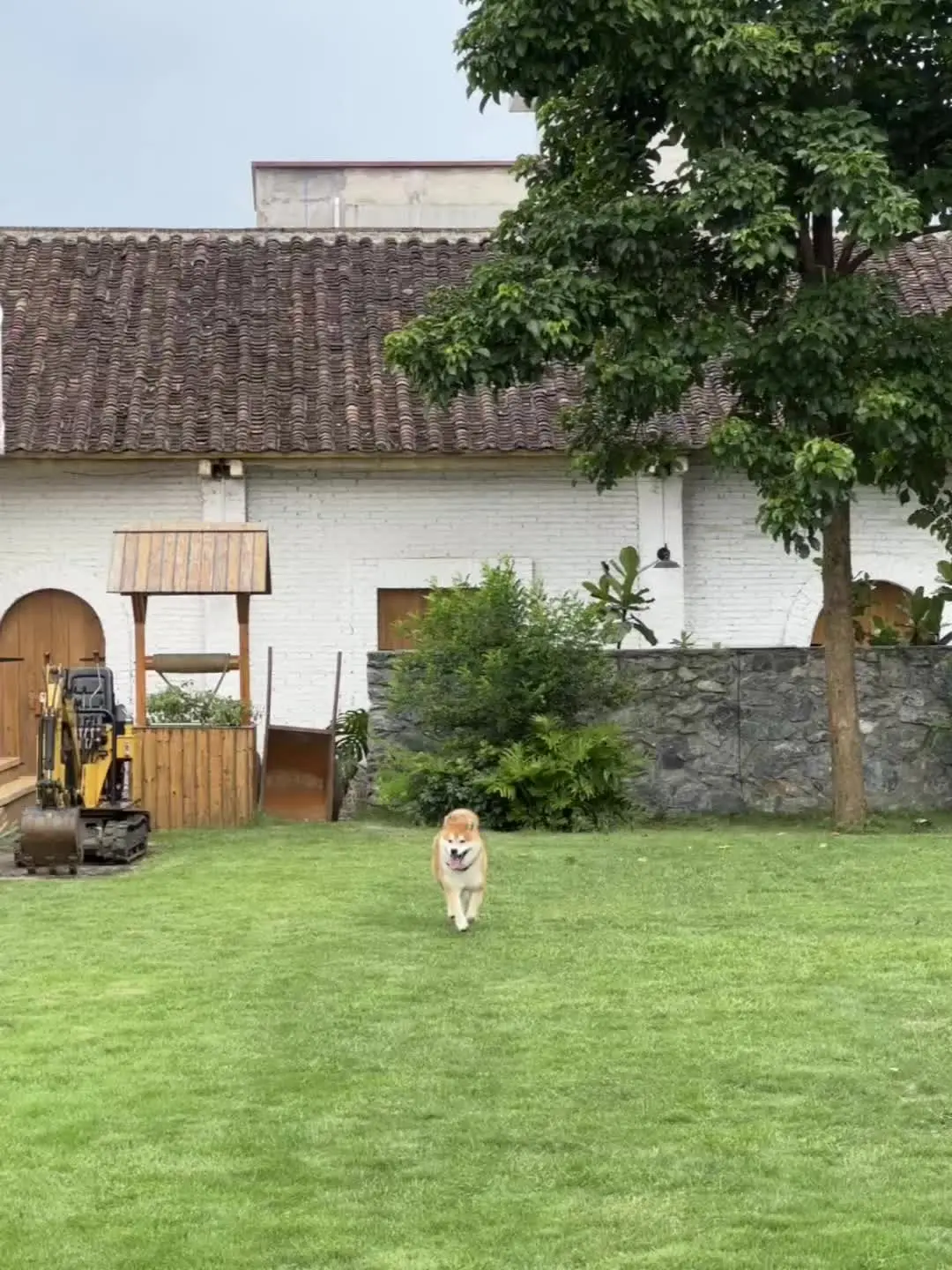 真是一场酣畅淋漓（手忙脚乱）的抓拍