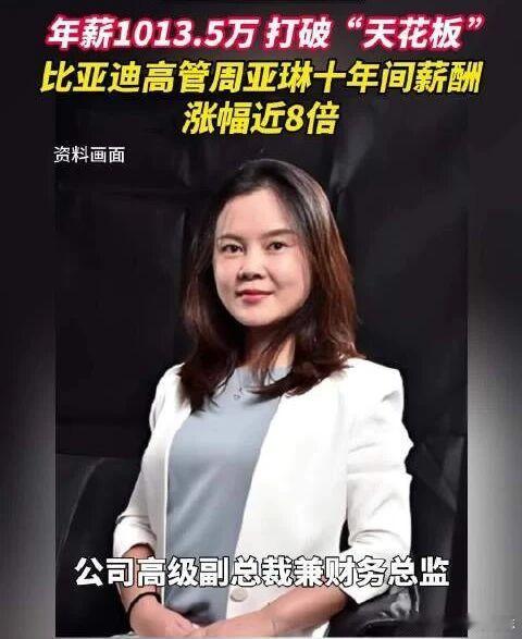 价值投资日志 比亚迪财务总监成为A股首位年薪千万的CFO中国电动车巨头比亚迪20