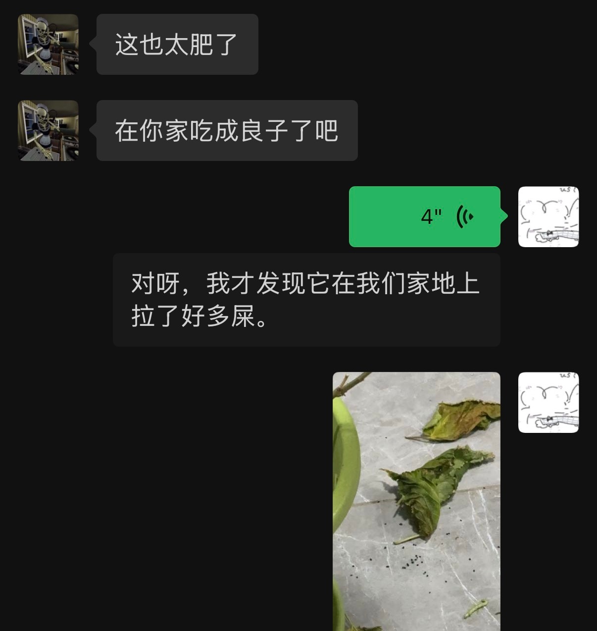 …. ​​​