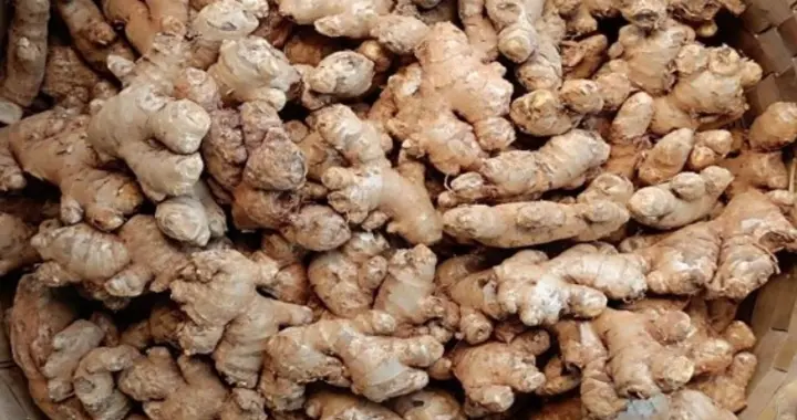 “刚挖的姜，转眼就没了！”缅甸掸邦小镇偷盗的风吹到了农产品界